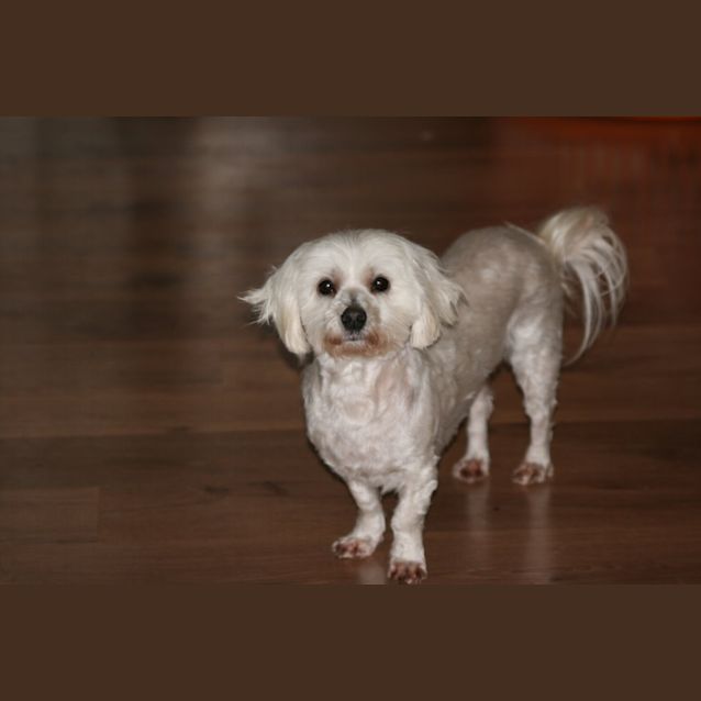 Photo of Faith