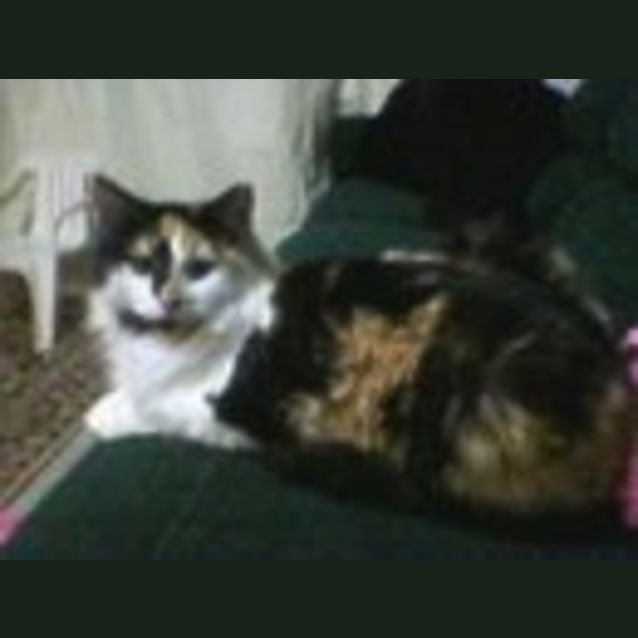Photo of Sylvia