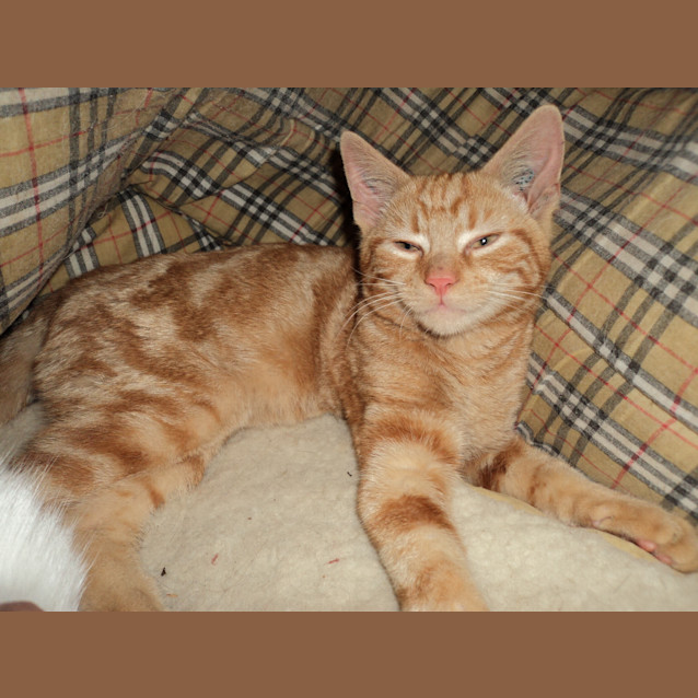 Photo of Max