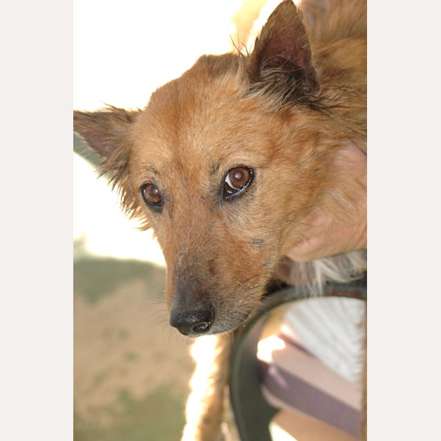 Photo of Sweetie On Trial