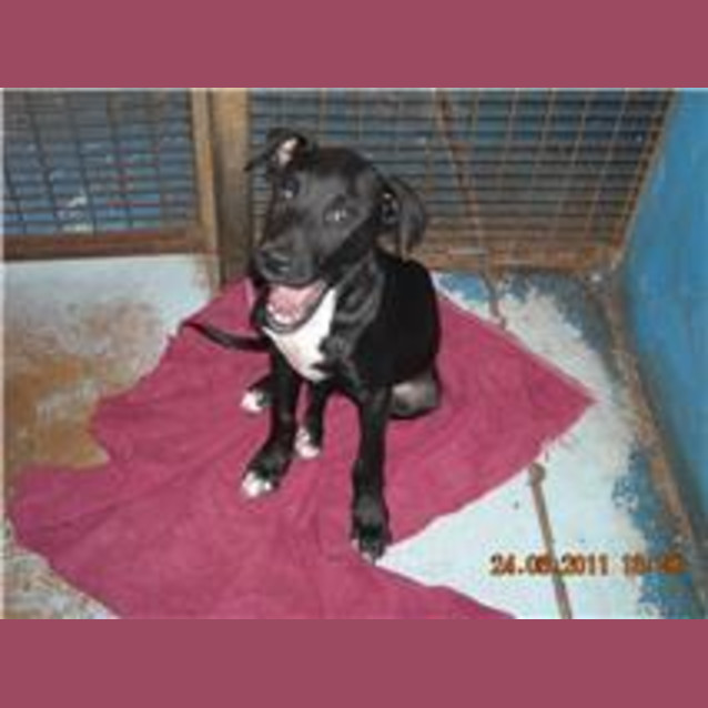 Photo of Jasper
