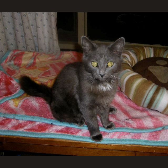 Photo of Jasper