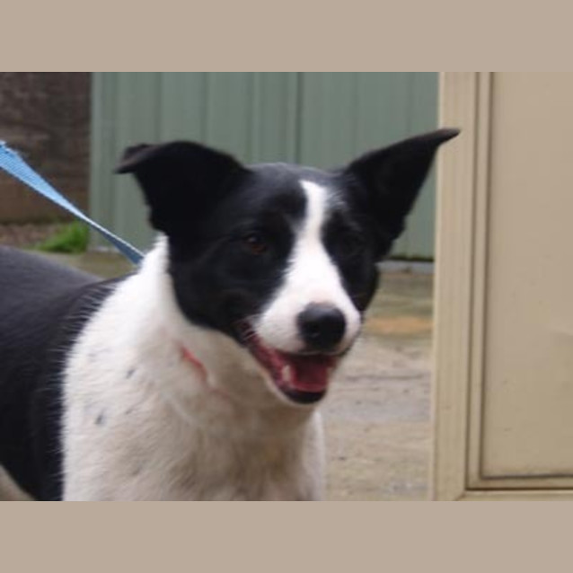 Photo of Izzy