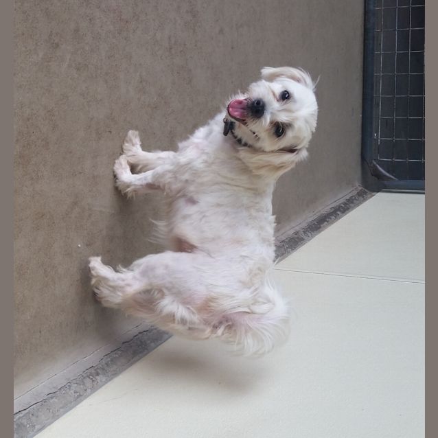 Photo of Little Miss