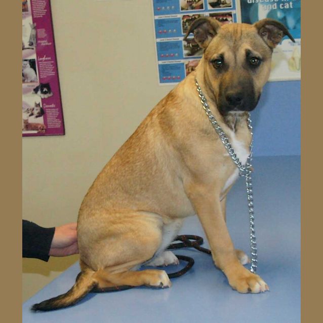 Photo of Xena