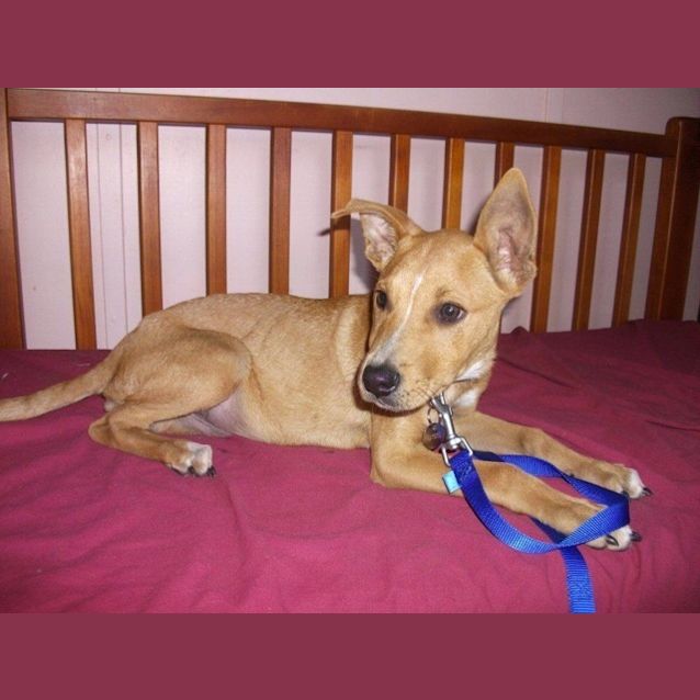 Photo of Cassidy(d1910)*Adopted*