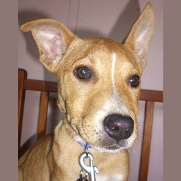 Photo of Cassidy(d1910)*Adopted*