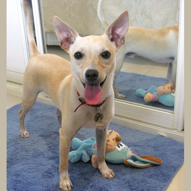 Photo of Sandy (On Trial)
