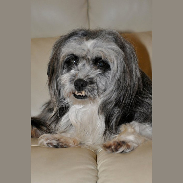 Photo of Maggie May