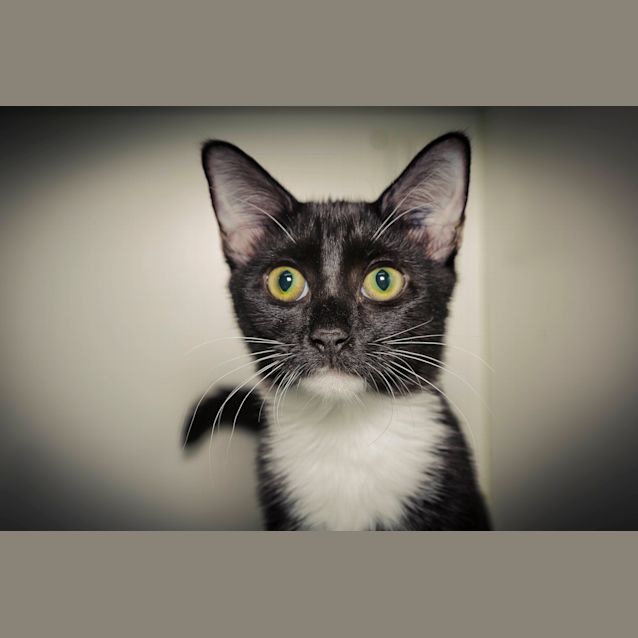 Photo of Cynthia