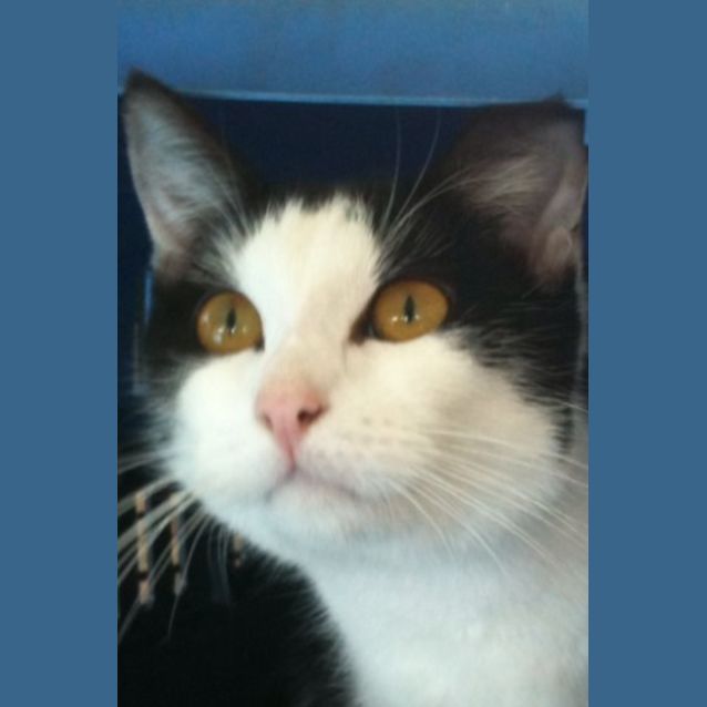Photo of Lunar
