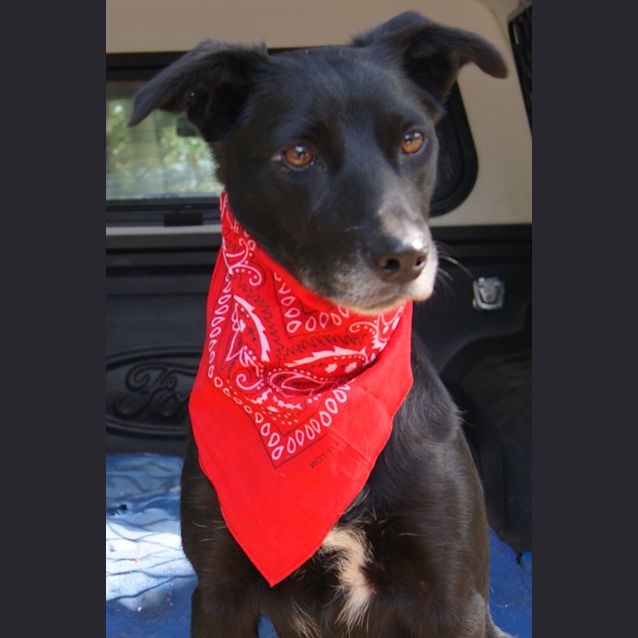 Photo of Ellie (On Trial)