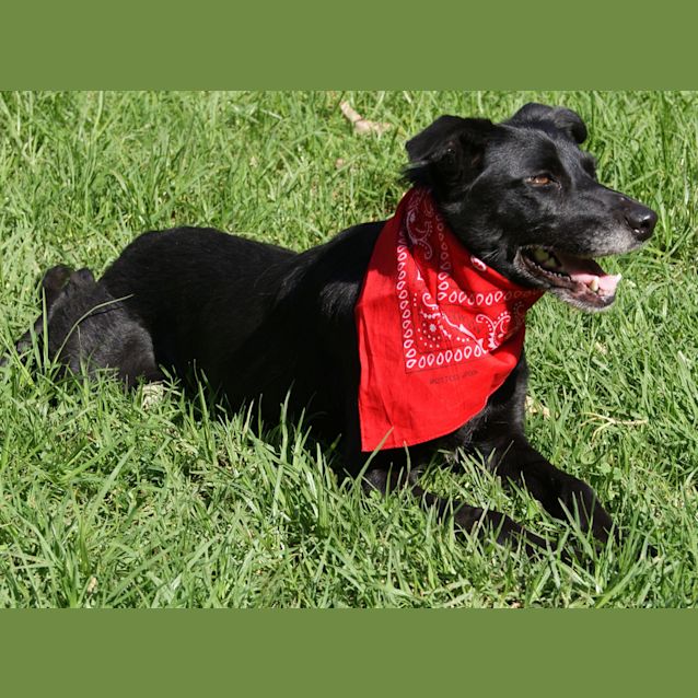 Photo of Ellie (On Trial)