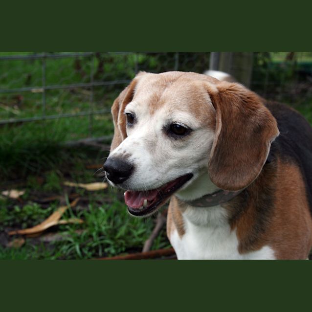 Photo of Wanda (On Trial)