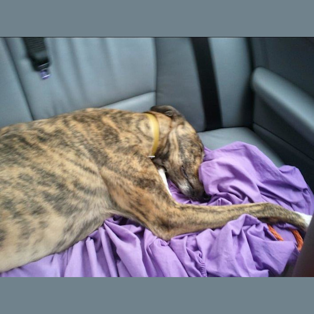 Photo of Kiss Me Kate