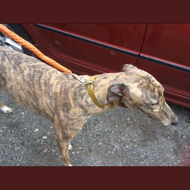 Photo of Kiss Me Kate