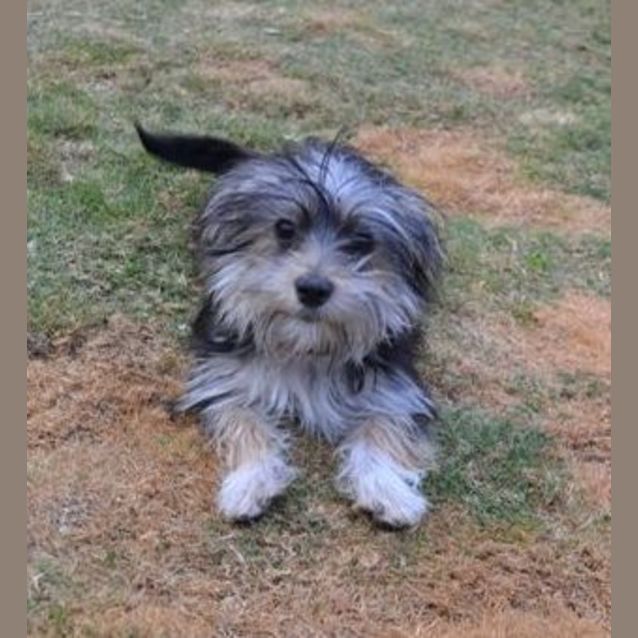 Photo of Faith *On Trial*