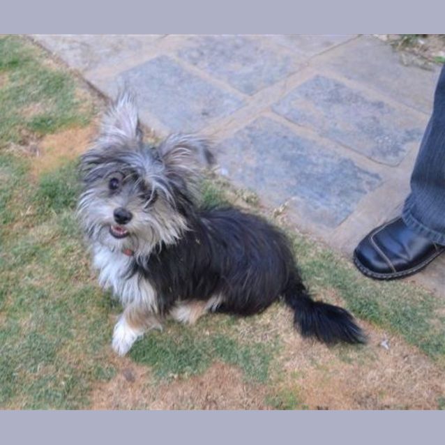 Photo of Faith *On Trial*