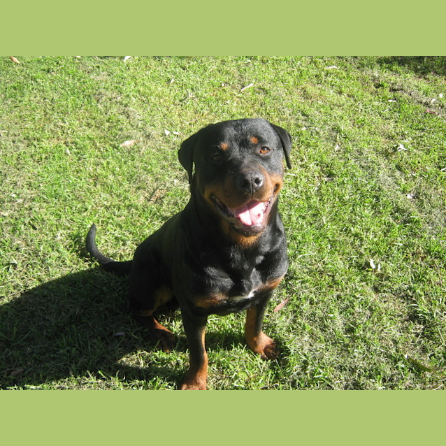 Photo of Jedemiah (Jed)