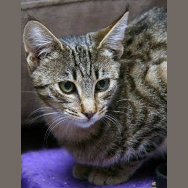 Photo of Buttons