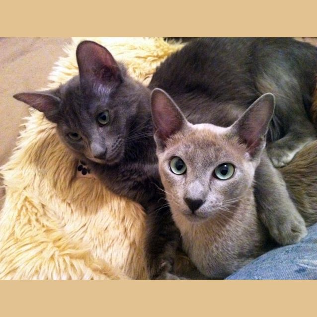 Photo of Gretchen   On Trial