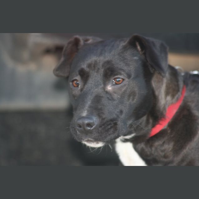 Photo of Izzabella