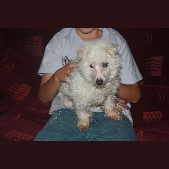 Photo of Miss Millie (On Trial)