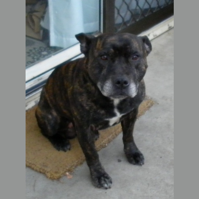 Photo of Bruce
