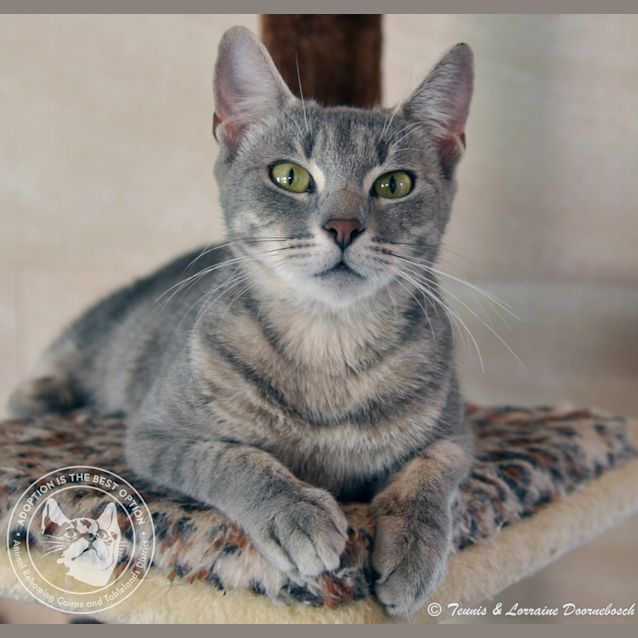 Photo of Wanda