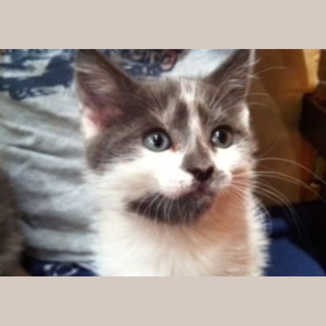 Photo of Zohan