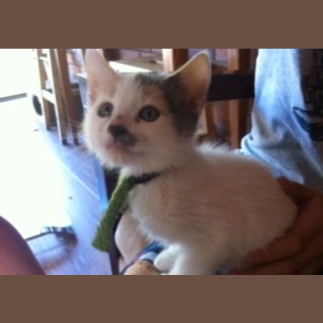 Photo of Precious