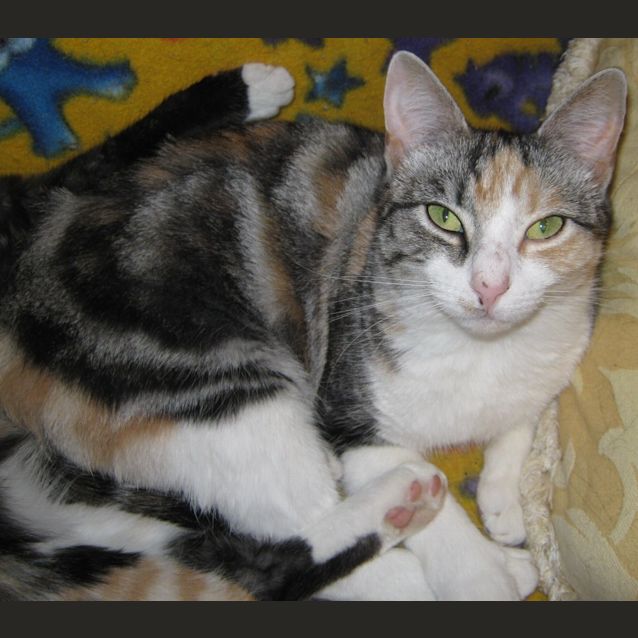 Photo of Hope (Must Go With Pepper)