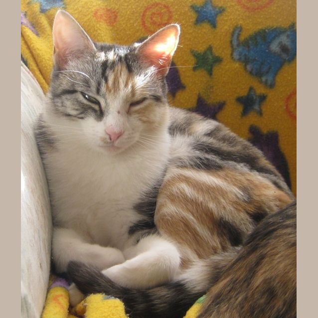 Photo of Hope (Must Go With Pepper)