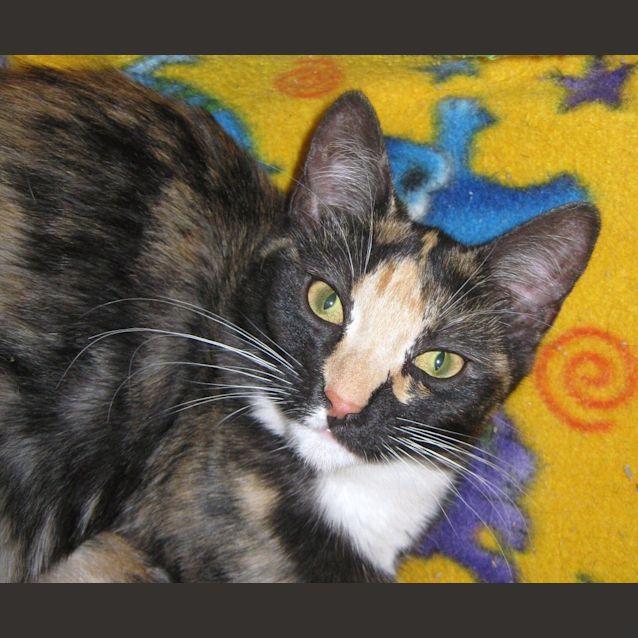 Photo of Pepper (Must Go With Hope)