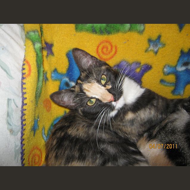 Photo of Pepper (Must Go With Hope)