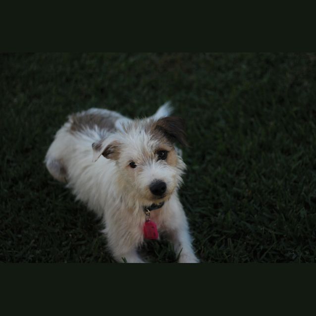 Photo of Snowy