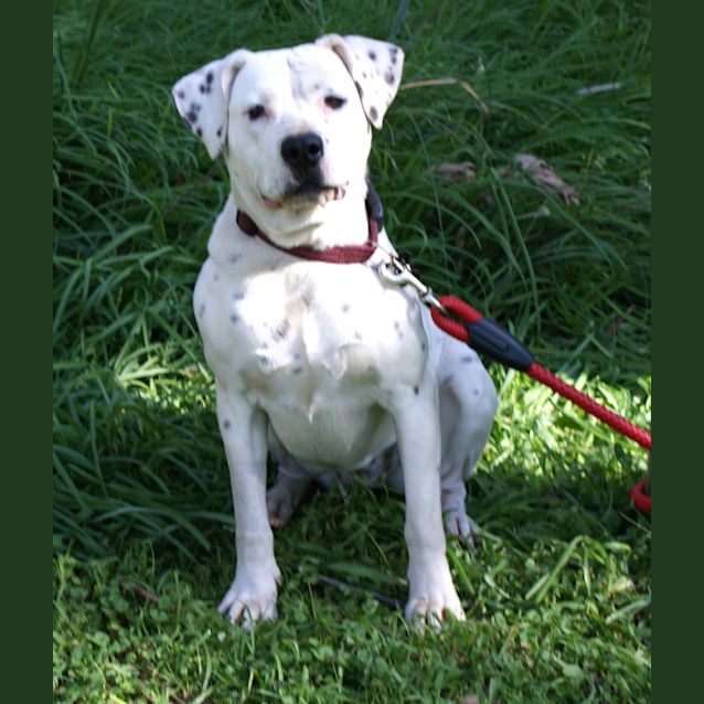 Photo of Dotty