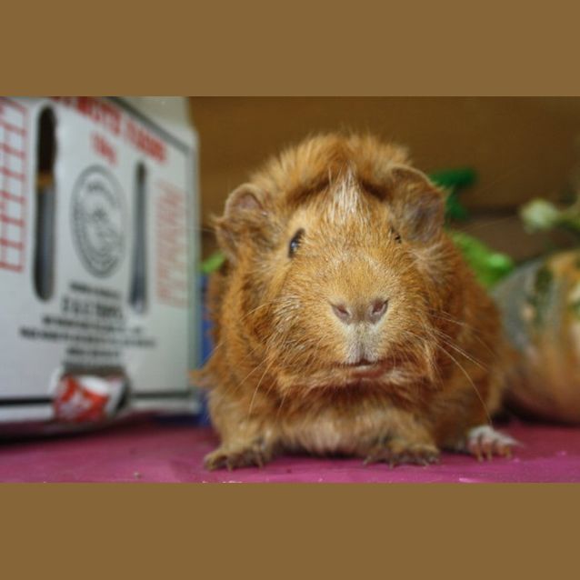 Photo of Bobby