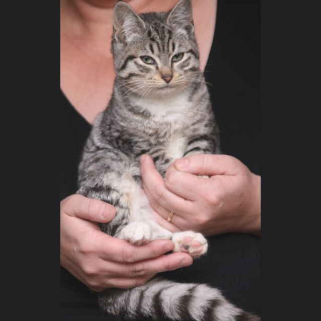 Photo of Harriet