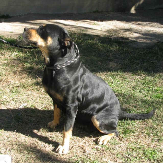 Photo of Bonnie