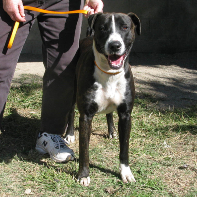 Photo of Roxy
