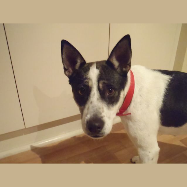 Photo of Jessie (On Trial)