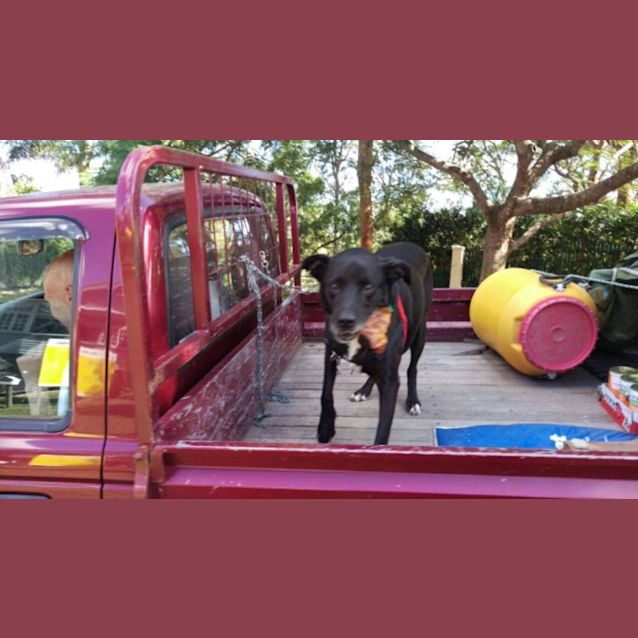 Photo of Black Betty