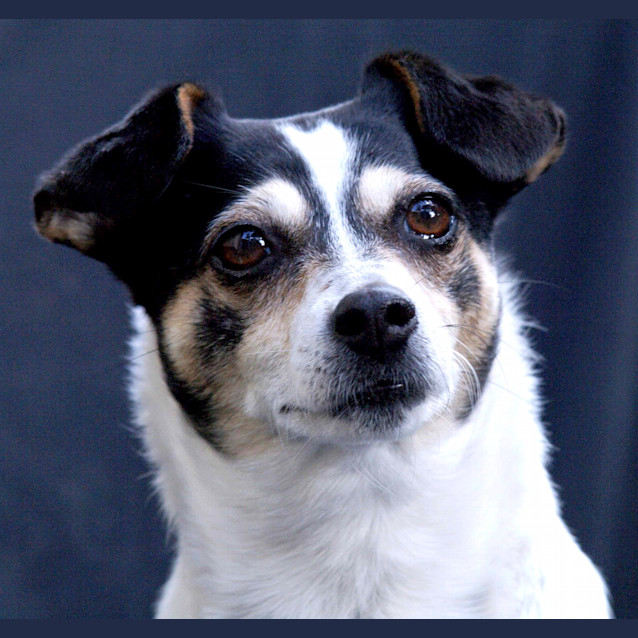 Photo of Lucy (On Trial)
