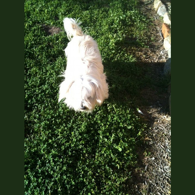 Photo of Toby&Radar