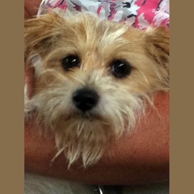 Photo of Simon Our Little Angel!