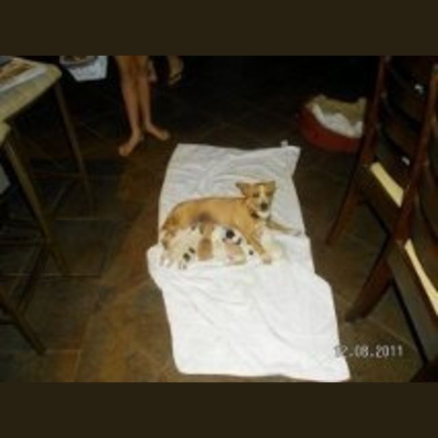 Photo of Elly