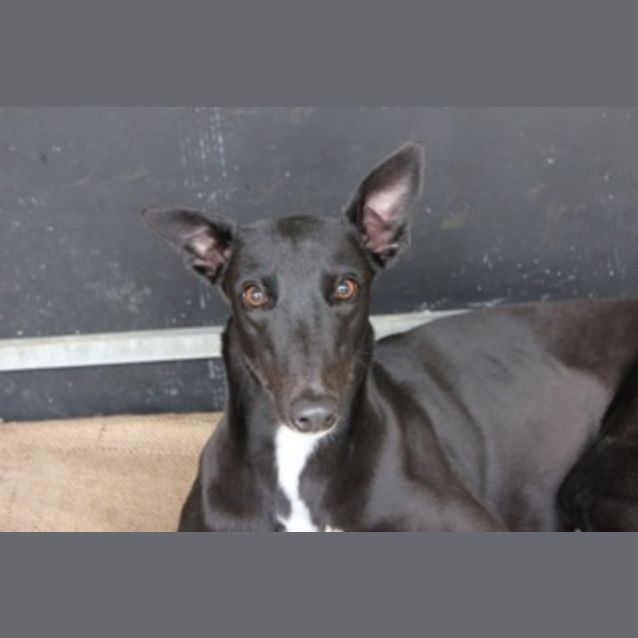 Photo of Mitzi