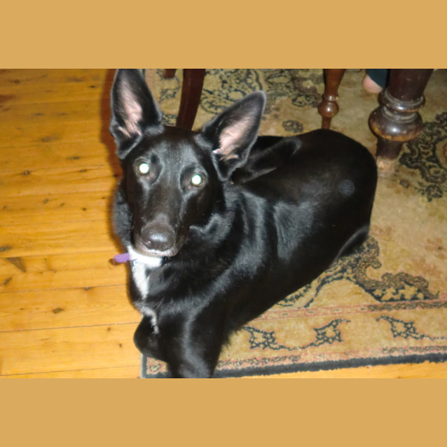 Photo of Klaus