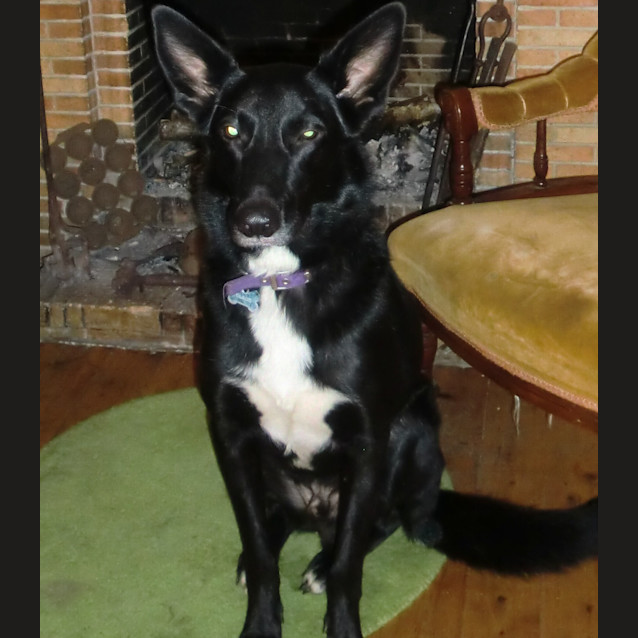 Photo of Klaus